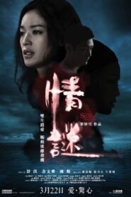 The Second Woman 2012 one on netflix