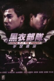 Come Fly the Dragon 1993 one on netflix
