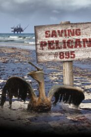 Saving Pelican 895 2011 one on netflix