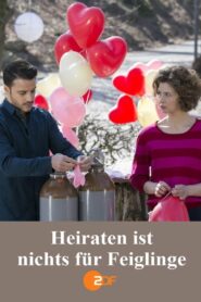 Heiraten ist nichts für Feiglinge 2016 one on netflix