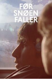 Before Snowfall 2013 one on netflix