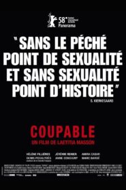 Coupable 2008 one on netflix