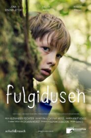Fulgidusen 2020 one on netflix