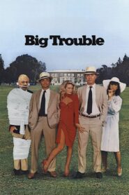 Big Trouble 1986 one on netflix