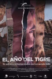 The Year of the Tiger 2013 one on netflix