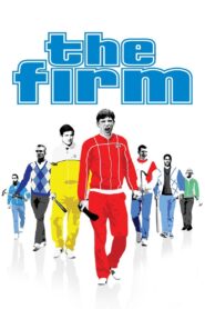 The Firm 2009 one on netflix