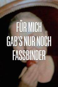 Fassbinder’s Women 2000 one on netflix