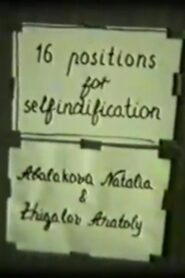 Golden Room, or 16 Positions for Self-identification 1985 one on netflix