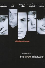 The Gray in Between 2002 one on netflix