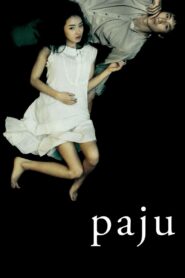 Paju 2009 one on netflix