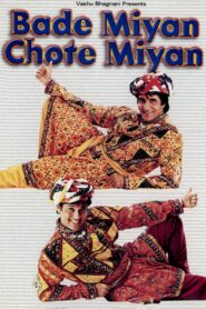Bade Miyan Chote Miyan 1998 one on netflix
