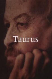 Taurus 2001 one on netflix