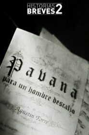 Historias Breves II: Pavana para un hombre descalzo 1996 one on netflix