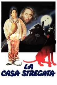 The Haunted House 1982 one on netflix