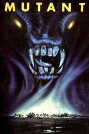 Night Shadows 1984 one on netflix