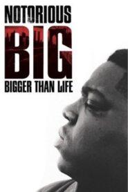 Notorious B.I.G.: Bigger Than Life 2007 one on netflix