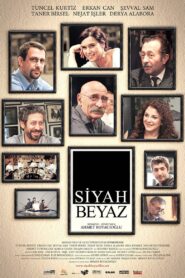 Black and White 2010 one on netflix