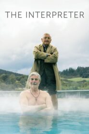 The Interpreter 2018 one on netflix