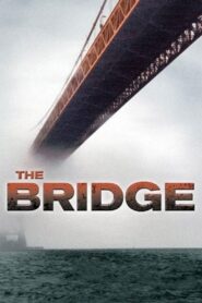The Bridge 2006 one on netflix