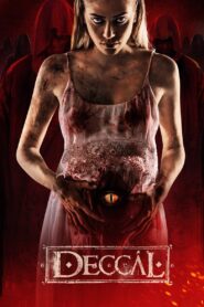Deccal 2015 one on netflix