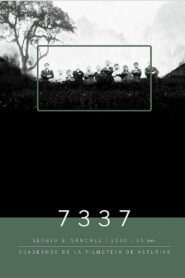 7337 2000 one on netflix