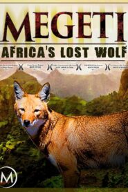 Megeti – Africa’s Lost Wolf 2016 one on netflix