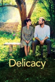 Delicacy 2011 one on netflix