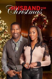 A Husband for Christmas 2016 one on netflix