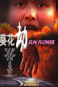 葵花劫 2003 one on netflix