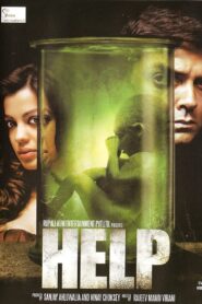 Help 2010 one on netflix