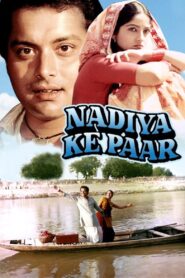 Nadiya Ke Paar 1982 one on netflix