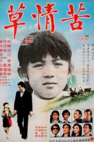 苦情草 1980 one on netflix