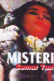 Mystery of the Old Well 1987 one on netflix