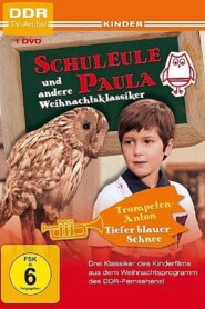 The Owl Paula 1981 one on netflix