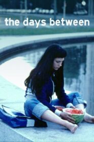 The Days Between 2001 one on netflix