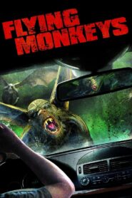 Flying Monkeys 2013 one on netflix