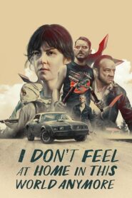 I Don’t Feel at Home in This World Anymore 2017 one on netflix