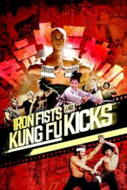 Iron Fists and Kung Fu Kicks 2019 one on netflix