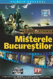 The Mysteries of Bucharest 1983 one on netflix