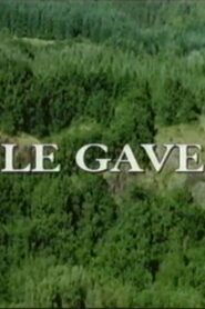 Le gave 2002 one on netflix