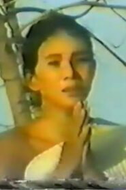 Preah Vesandor 1993 one on netflix