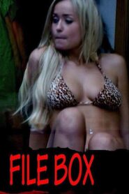 File Box 2013 one on netflix