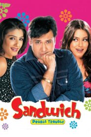 Sandwich 2006 one on netflix