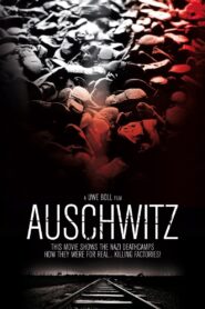 Auschwitz 2011 one on netflix