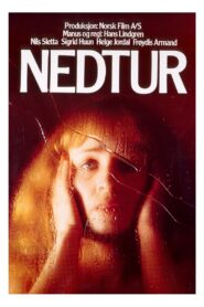 Nedtur 1980 one on netflix