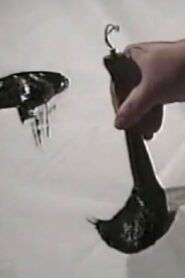 Zen, in Search of Enlightenment 1994 one on netflix