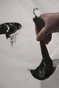 Zen, in Search of Enlightenment 1994 one on netflix