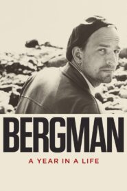 Bergman: A Year in a Life 2018 one on netflix