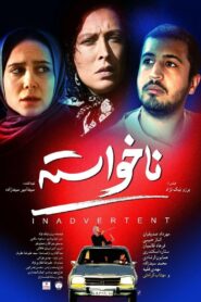 Inadvertent 2014 one on netflix