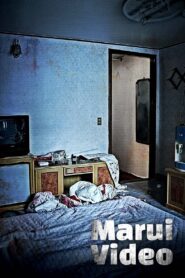 Marui Video 2023 one on netflix